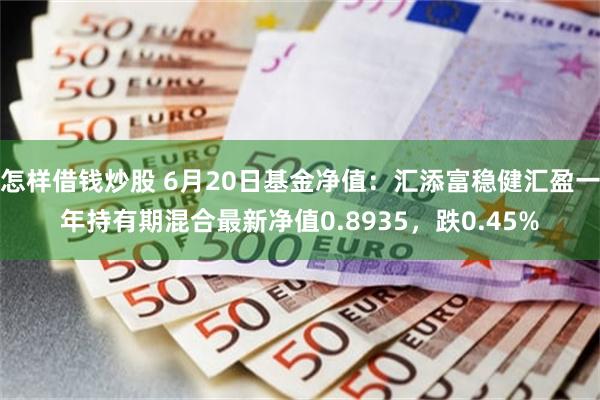 怎样借钱炒股 6月20日基金净值：汇添富稳健汇盈一年持有期混合最新净值0.8935，跌0.45%