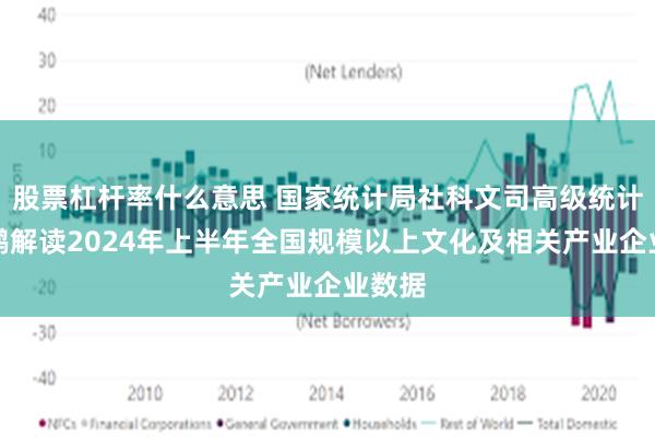 股票杠杆率什么意思 国家统计局社科文司高级统计师张鹏解读2024年上半年全国规模以上文化及相关产业企业数据