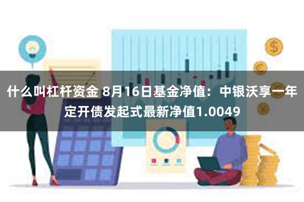 什么叫杠杆资金 8月16日基金净值：中银沃享一年定开债发起式最新净值1.0049