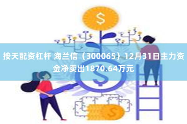 按天配资杠杆 海兰信（300065）12月31日主力资金净卖出1870.64万元