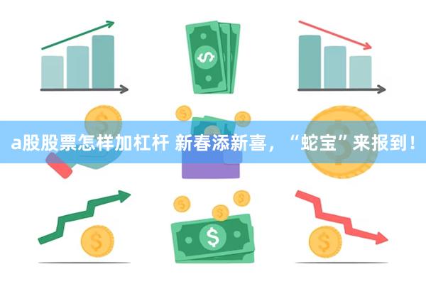 a股股票怎样加杠杆 新春添新喜，“蛇宝”来报到！