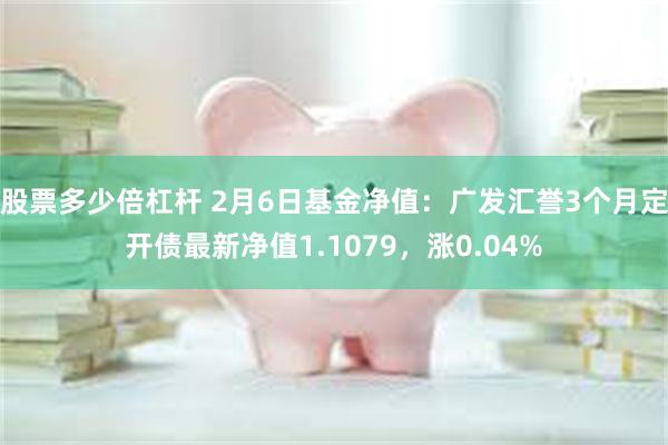 股票多少倍杠杆 2月6日基金净值：广发汇誉3个月定开债最新净值1.1079，涨0.04%