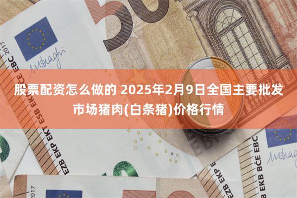 股票配资怎么做的 2025年2月9日全国主要批发市场猪肉(白条猪)价格行情