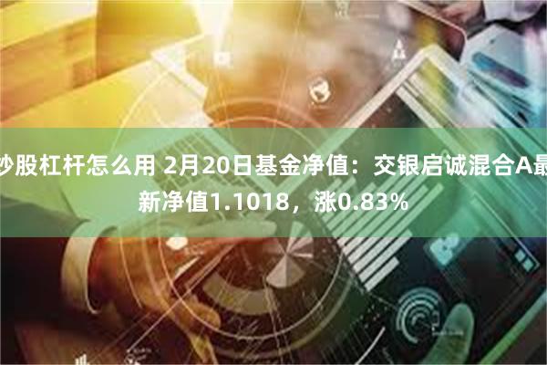 炒股杠杆怎么用 2月20日基金净值：交银启诚混合A最新净值1.1018，涨0.83%